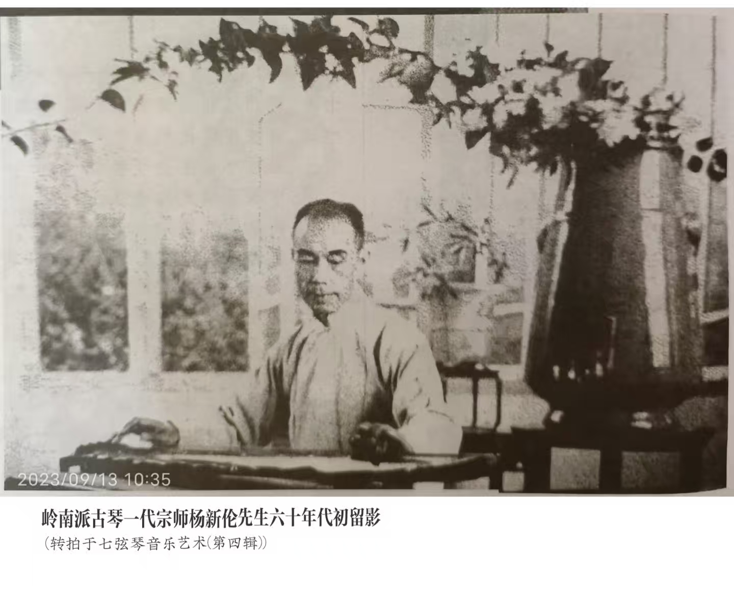 杨新伦